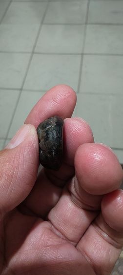 เบี้ยเก่าโบราณ รูปที่ 10