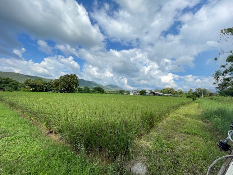 ขายที่ดินอำเภอสันกำแพง สายใหม่1317 ใกล้สนามบินแห่งใหม่ รูปที่ 4