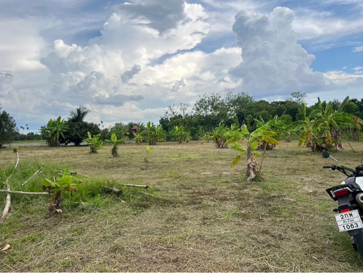 ที่ดินบ้านสวน มีลำน้ำผ่าน สันทรายเชียงใหม่ เจ้าของขายเอง (ถมแล้ว) รูปที่ 2