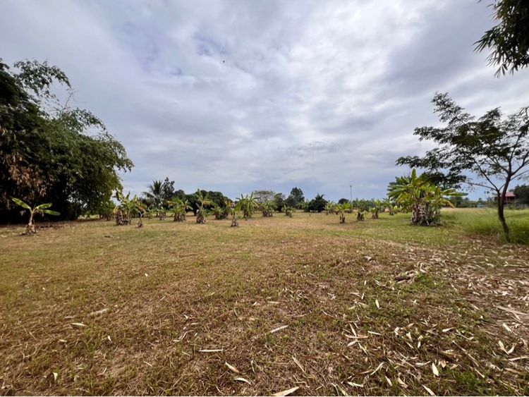 ที่ดินบ้านสวน มีลำน้ำผ่าน สันทรายเชียงใหม่ เจ้าของขายเอง (ถมแล้ว) รูปที่ 3