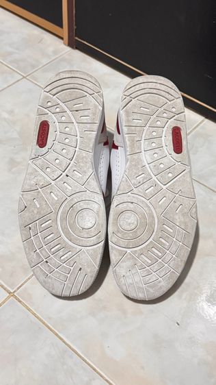 รองเท้าผู้ชาย Lacoste ของแท้ซื้อจากช็อป รูปที่ 8