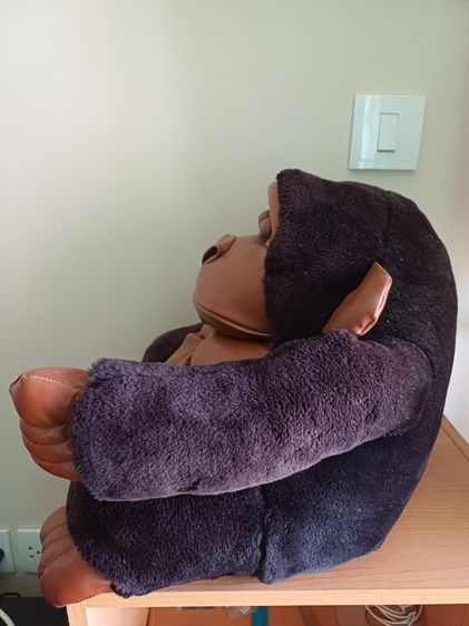 ตุ๊กตาลิงชิมแพนซี รูปที่ 4