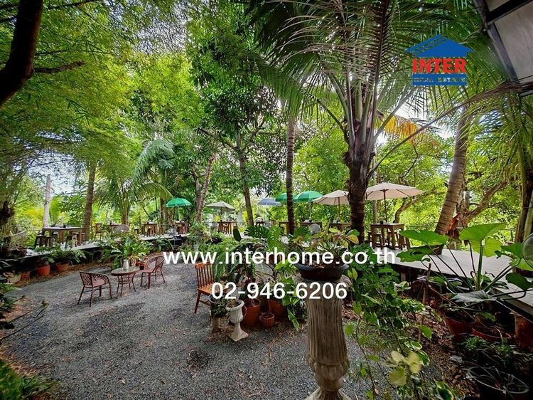 ไม่ใช่ ที่ดิน + โกดัง 2 ชั้น 431 ตร.ว. ที่ดิน + โกดัง ซอยเศรษฐี1 ถนนเศรษฐกิจ ถนนสุคนธวิท บ้านแพ้ว สมุทรสาคร รูปที่ 4