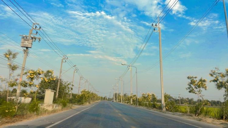 ให้เช่าที่ดิน เปล่า  100 ตารางวา เขต ลาดกระบัง  ถนน คุ้มเกล้า สนใจโทร 0655490817, 0870724475