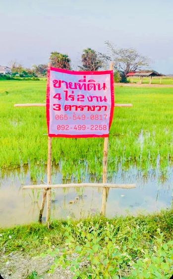 ขายที่ดิน (4 ไร่ 2 งาน 3 ตารางวา ) ติดถนน จังหวัด ลำปาง อำเภอ เมืองลำปาง ตำบล ปงแสงทอง  ราคา 7.5 ล้าน  สนใจติดต่อ 0655490817 รูปที่ 4