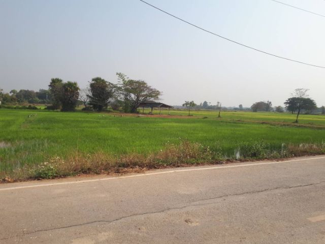 ขายที่ดิน (4 ไร่ 2 งาน 3 ตารางวา ) ติดถนน จังหวัด ลำปาง อำเภอ เมืองลำปาง ตำบล ปงแสงทอง  ราคา 7.5 ล้าน  สนใจติดต่อ 0655490817