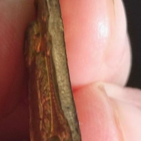 เหรียญระฆังหลวงพ่อทองพูล สิริกาโมวัดสามัคคีฯปี๒๑ รูปที่ 8