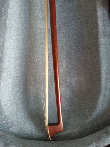 ไวโอลิน รูปที่ 3