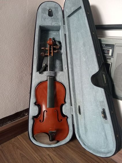 ไวโอลิน รูปที่ 12