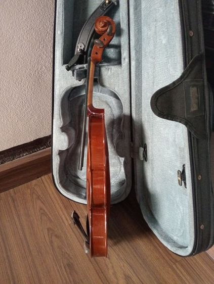 ไวโอลิน รูปที่ 11