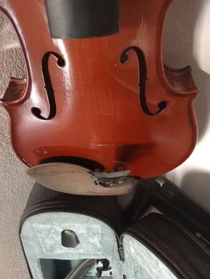 ไวโอลิน รูปที่ 8