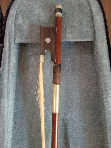 ไวโอลิน รูปที่ 5