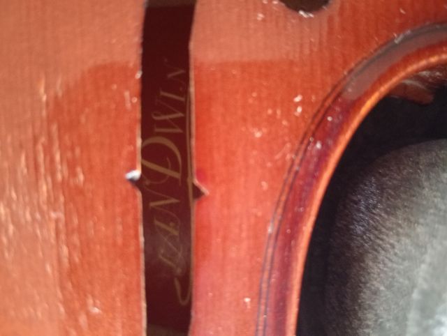 ไวโอลิน รูปที่ 6