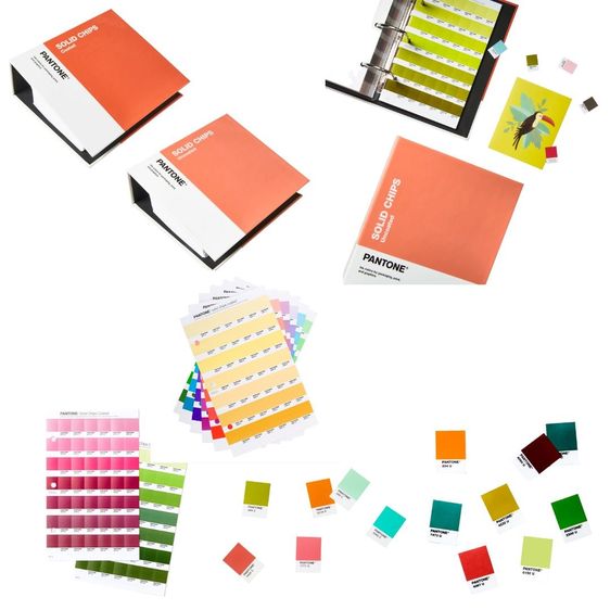 PANTONE Solid Chips  Coated  Uncoated รูปที่ 3
