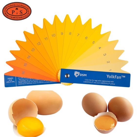 พัดสีเทียบไข่ไก่ Yolk Colour Fan  รูปที่ 2