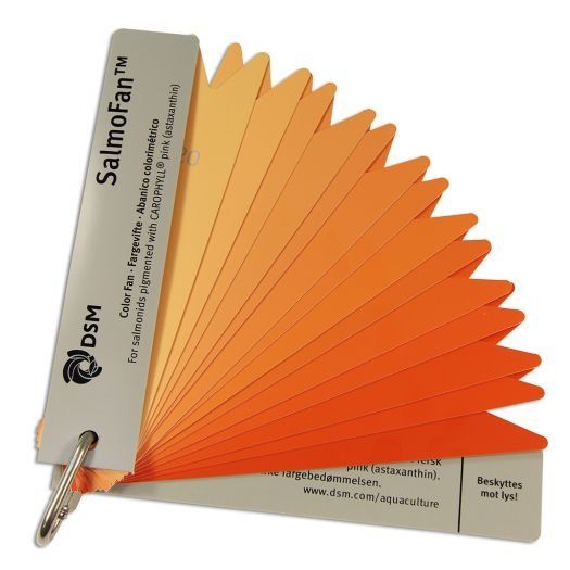 SalmoFan™ สำหรับอุตสาหกรรมอาหารสัตว์น้ำ (โดยเฉพาะอุตสาหกรรมปลาแซลมอน)  รูปที่ 4