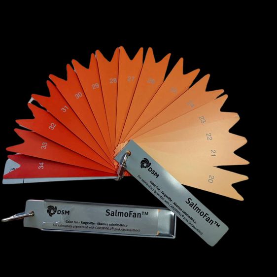 SalmoFan™ สำหรับอุตสาหกรรมอาหารสัตว์น้ำ (โดยเฉพาะอุตสาหกรรมปลาแซลมอน)  รูปที่ 2