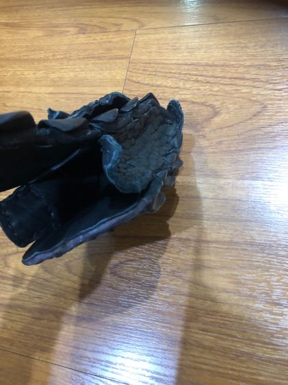 กระเป๋าหนังจระเข้ รูปที่ 6