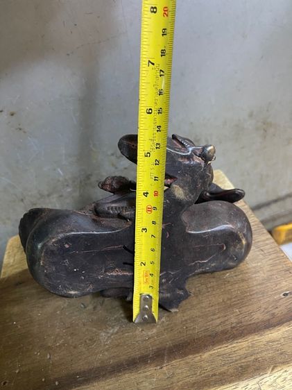 เป็ด ครอบครัว ทองเหลืองสะสม รูปที่ 15