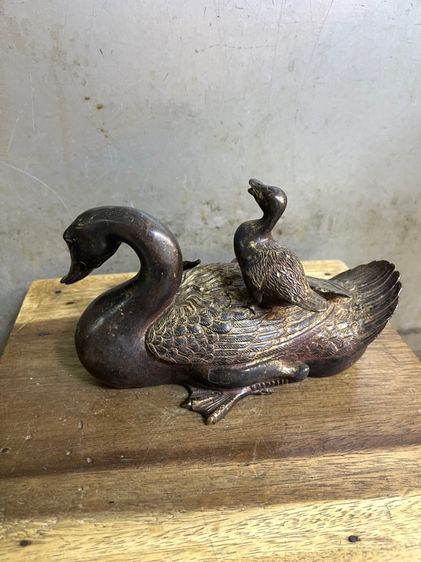 เป็ด ครอบครัว ทองเหลืองสะสม รูปที่ 10