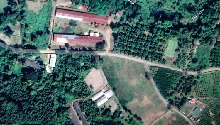 ขายที่ดิน ต.ออนใต้ อ.สันกำแพง จ.เชียงใหม่ รูปที่ 3