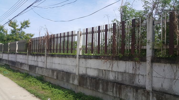 ที่ดิน 1 ไร่  ถมแล้ว ซอยจตุโชติ 4 แขวงออเงิน เขตสายไหม  รูปที่ 4