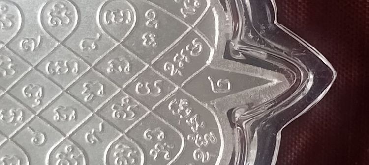 เต่าหลวงปู่หลิว รูปที่ 8