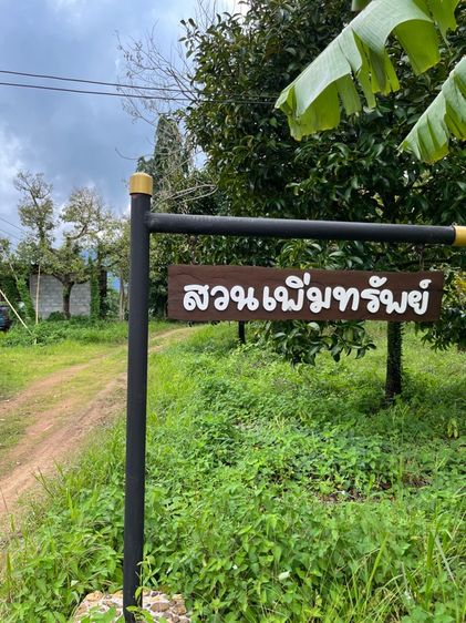 สวนผลไม้ผสม