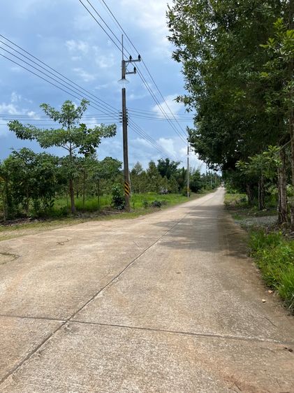 สวนผลไม้ผสม รูปที่ 3