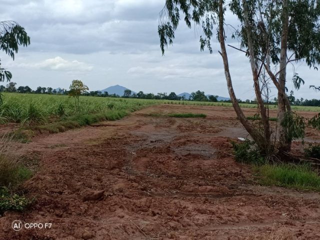 ที่ดินราคาถูก31ไร่เศษ ตาคลี นครสวรรค์