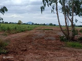 ที่ดินราคาถูก31ไร่เศษ ตาคลี นครสวรรค์