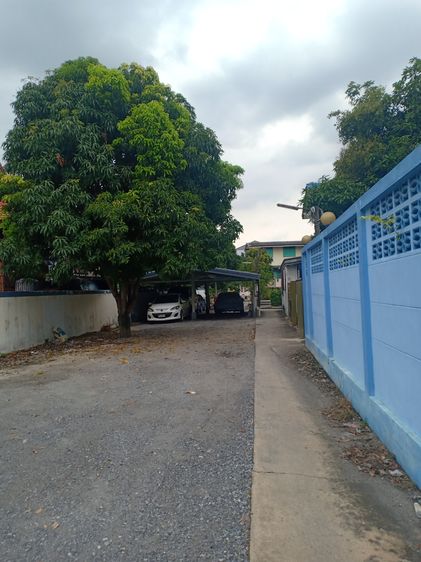 ไม่ใช่ ห้องเช่าซอยวัดกำแพง ห้องสตูดิโอ มีพัดลม พร้อมเฟอร์นิเจอร์ มีห้องน้ำในตัว ซอยนครอินทร์ 3 แยก 2 ไม่มีที่จอดรถยนต์ รูปที่ 3