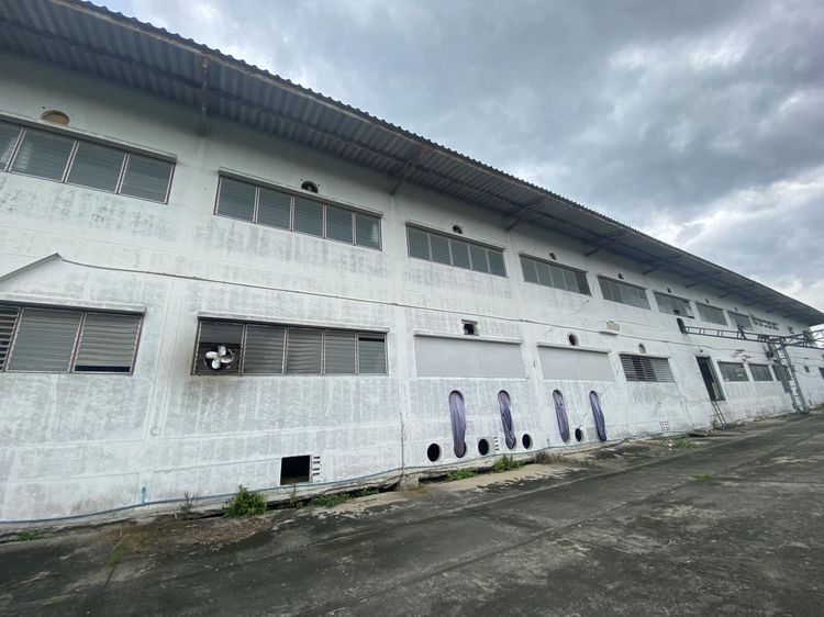 āđāļāđ ð āđāļĢāļāļāļēāļ āļŦāļāļāļāļāļāļ āļĢāļēāļāļēāļāļīāđāļĻāļĐ! ð āļĢāļđāļāļāļĩāđ 3