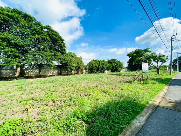 ขายที่ดินเปล่าในโครงการอารียาโคโม่ ลาดกระบัง ถ.ขุมทอง-ลำต้อยติ่ง ,เนื้อที่ 239 ตรว. ขายต่ำกว่าประเมิน ที่สวย ถมแล้ว ใกล้สนามบินสุวรรณภูมิ  รูปที่ 4