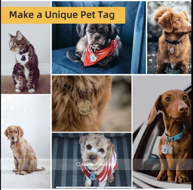 เครื่องเลเซอร์สแกน รูปที่ 9