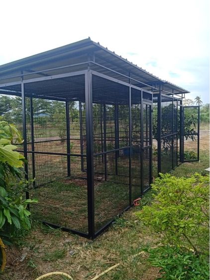 ขายกรงนกทุกแบบราคาถูกกว่าที่อื่น รูปที่ 7