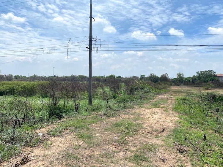 ขายไร่ละ 2 ล้าน ที่ดินติดถนนสาย 347 บางปะหัน อยุธยา 098 7755 808 รูปที่ 4