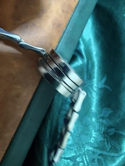 Musk paris รูปที่ 6