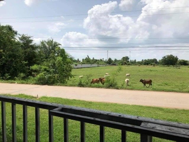 เจ้าของขายเองรับนายหน้าที่ดิน 15 ไร่ ตรงข้ามโรงเรียนวัดปากช่อง อ.จอมบึง จ.ราชบุรี ยินดีรับนายหน้า รูปที่ 4