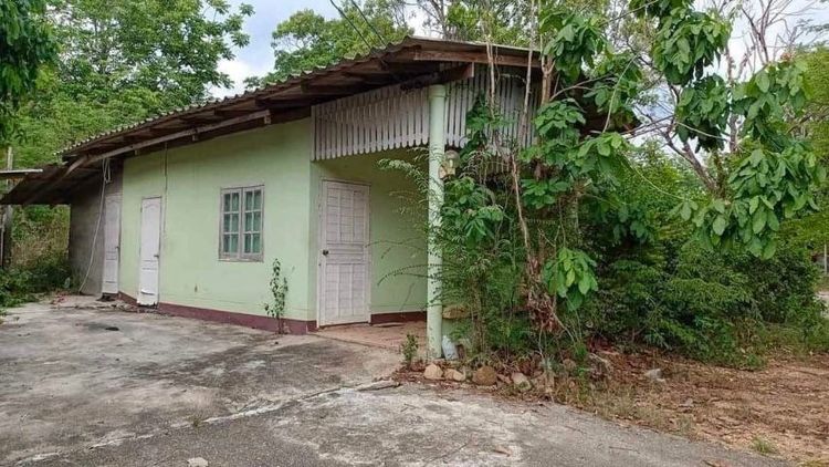 ที่ดินทำเลดีติดถนนลาดยาง ทางไปเขื่อนแม่กวง อ.สันทราย จ.เชียงใหม่ รูปที่ 3