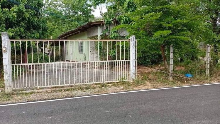 ที่ดินทำเลดีติดถนนลาดยาง ทางไปเขื่อนแม่กวง อ.สันทราย จ.เชียงใหม่ รูปที่ 2