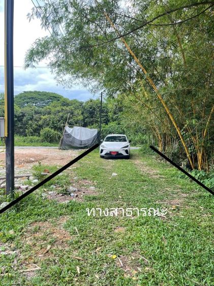 ที่ดินราคาถูก 176ตรว.ใกล้ตลาดทุ่งข้าวตอก สันทราย รูปที่ 4