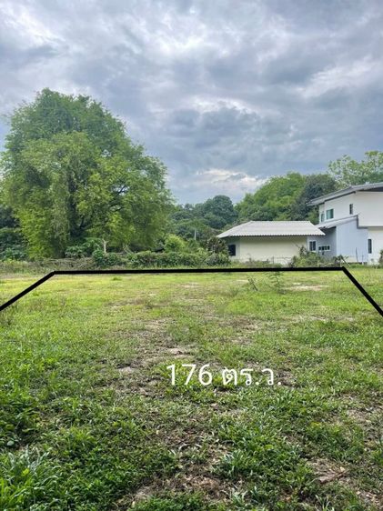 ที่ดินราคาถูก 176ตรว.ใกล้ตลาดทุ่งข้าวตอก สันทราย รูปที่ 3