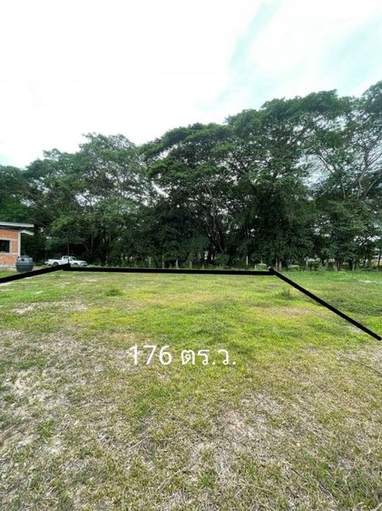 ที่ดินราคาถูก 176ตรว.ใกล้ตลาดทุ่งข้าวตอก สันทราย รูปที่ 2