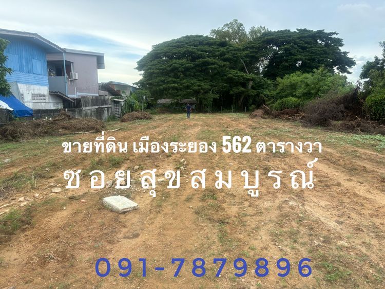 ไม่ใช่ ขายที่ดินตัวเมืองระยอง รูปที่ 2