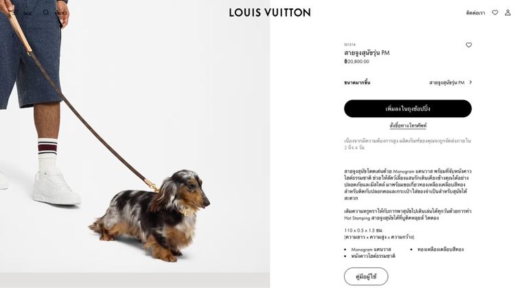 สายจูงน้องหมา Louis Vuitton Monogram แท้ รูปที่ 4