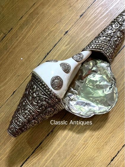 หอยสังข์  เวียนขวาหุ้มกะไหล่เงินขอนใหญ่A6 รูปที่ 14