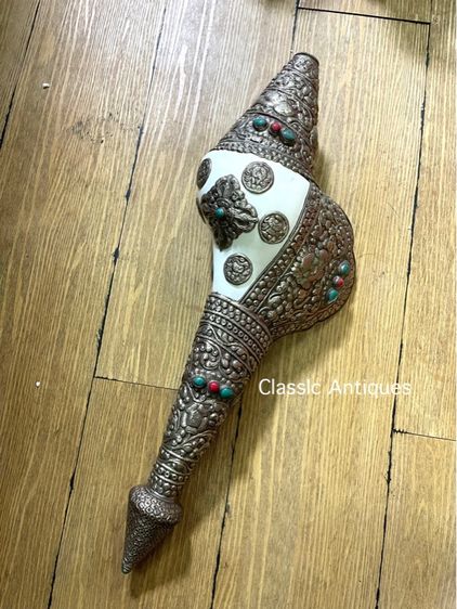 หอยสังข์  เวียนขวาหุ้มกะไหล่เงินขอนใหญ่A6 รูปที่ 6