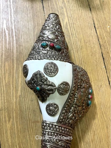 หอยสังข์  เวียนขวาหุ้มกะไหล่เงินขอนใหญ่A6 รูปที่ 10