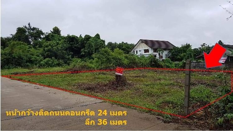 ขายที่ดิน 208 ตารางวา ซ.อารีย์ร่วมใจ ขามใหญ่